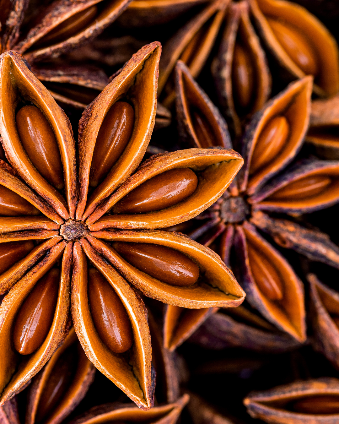 Aliments à privilégier après les fêtes | Clémence Chabbert naturopathe réflexologue Bordeaux